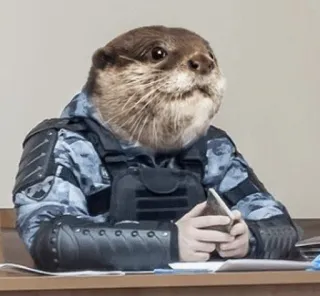 👮‍♀️ otter, animal, officer, uniform, desk telegram sticker