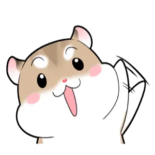 ✋ хомяк, милый, животное, питомец, мультик, счастливый whatsapp sticker