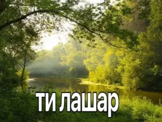 🌟 ТИ ЛАШАР whatsapp sticker