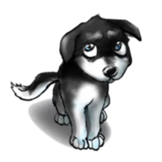 👀 chó con, chó, dễ thương, động vật, thú cưng telegram sticker