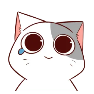 🥲 cat, sad, cute, tear, animal, kawaii telegram sticker