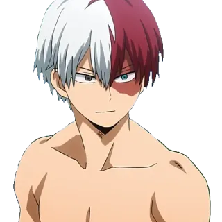 😏 Shoto Todoroki My Hero Academia Anime, My Hero Academia, Shoto Todoroki, Held, halb rot halb weißes Haar telegram sticker