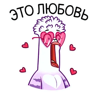 😍 ЭТО ЛЮБОВЬ мультик, любовь, голубь, солнцезащитные очки-сердечки, русский, стикер telegram sticker