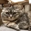 😎