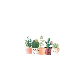 🌵 cactus, plantas, suculentas, decoración hogar, plantas maceta, naturaleza whatsapp sticker