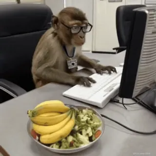 🤓 Affe, Computer, tippen, Tier, Brille, Büro, Bananen, Salat whatsapp sticker