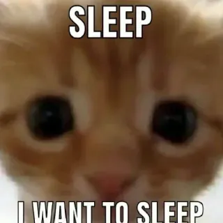 😣 SLEEP
I WANT TO SLEEP кот, сон, мем, животное, милый, смешной telegram sticker