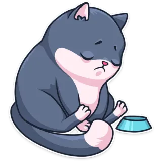 @kotstvo Кот Сеймур whatsapp stickers