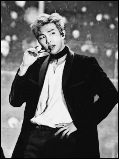 🗝 RM RM, Kim Namjoon, BTS, K-pop, Cantante, Blanco y negro, Retrato whatsapp sticker