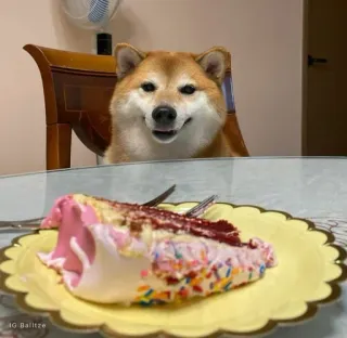 ❤️ IG Balltze dog, shiba inu, cake, dessert, food, animal, pet telegram sticker