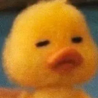 🐥 アヒル, 動物, 鳥, 黄色 telegram sticker
