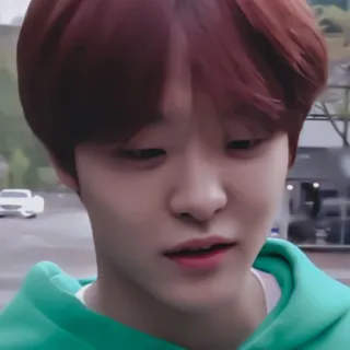 🐼 whatsapp sticker