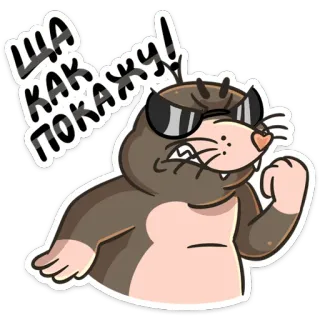 👊 ЩА КАК ПОКАЖУ! モグラ, 漫画, 眼鏡, 動物, ロシア, 表情 telegram sticker