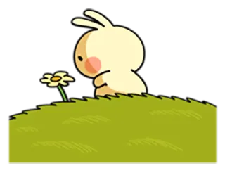 😞 conejo, flor, lindo, dibujos animados, naturaleza, primavera whatsapp sticker