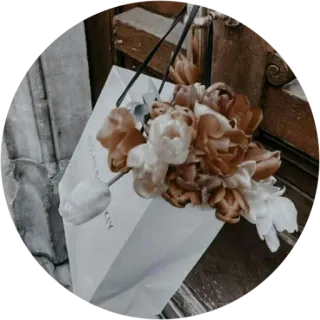 🏹 fleurs, sac shopping, tulipes, cadeau, composition florale, bouquet telegram sticker