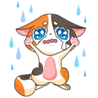 😭 猫, 哭, 伤心, 眼泪, 可爱, 贴纸, 情绪 whatsapp sticker