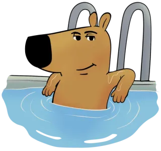 🛀 สุนัข, สระว่ายน้ำ, การ์ตูน, สัตว์, ว่ายน้ำ, พักผ่อน, น้ำ, น่ารัก telegram sticker