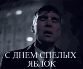 🌟 С ДНЕМ СПЕЛЫХ ЯБЛОК portrait, homme, russe, texte, Cillian Murphy, Peaky Blinders, acteur whatsapp sticker