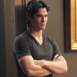 🖤 Damon Salvatore The Vampire Diaries vampir, acara TV, supranatural, aktor, Ian Somerhalder telegram sticker