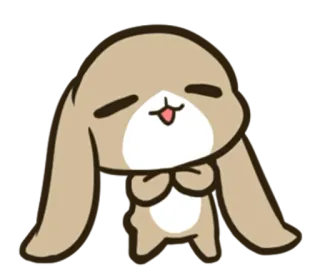 😌 coelho, fofo, kawaii, animal, coelho, implorando whatsapp sticker