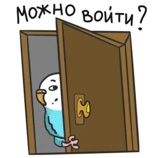 👀 Можно войти? 鸟, 鹦鹉, 门, 询问, 可爱, 卡通 telegram sticker