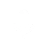 🎤
