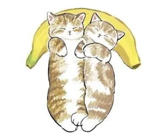 💗 koty, banan, śpiący, słodkie, zwierzęta, kawaii telegram sticker