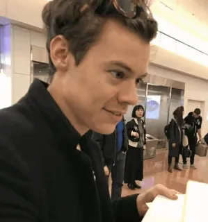🎵 Harry Styles celebrity, musician, singer, portrait, man, person, pop star telegram sticker