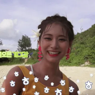 😄 몰오른 개그감 k-pop, person, smile, beach, flower, asian telegram sticker