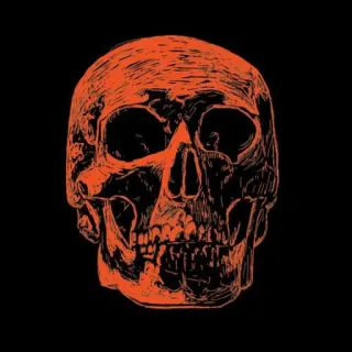 🧡 skull, death, bones, anatomy, skeleton, halloween telegram sticker