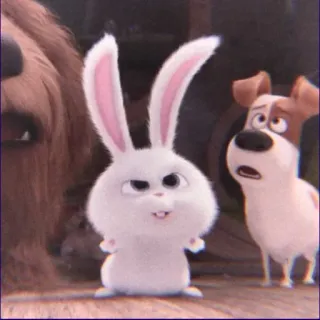 😒 Snowball The Secret Life of Pets bunny, rabbit, white, pet, animal, cartoon whatsapp sticker