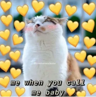 💗 me when you call me baby kucing, hati, cinta, imut, penyayang, bayi telegram sticker