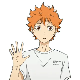 ✋ Hinata Shoyo Haikyuu KARASUNO
HIGH
SCHOOL аниме, haikyuu, хината, карасуно, старшая школа, волейбол telegram sticker