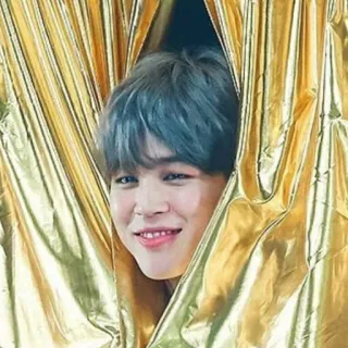 🌸 Jimin kpop, bts, 偶像, 朴智旻, 歌手, golden telegram sticker