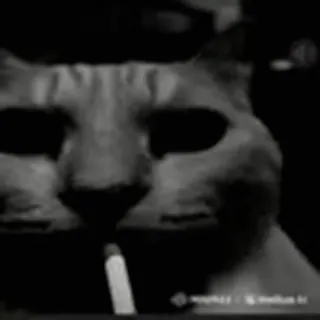 🚬