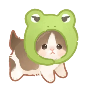 🐾 猫, 子猫, カエル, 帽子, 可愛い, 動物, ペット, かわいい telegram sticker
