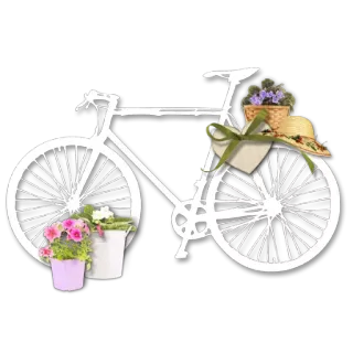 🌹 велосипед, байк, цветы, весна, велосипед, лето, шляпа, растения telegram sticker
