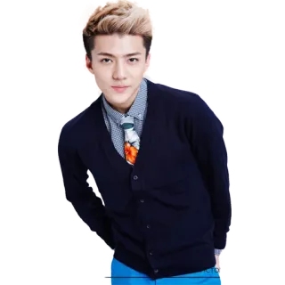 😊 Oh Sehun sehun, exo, kpop, singer, fashion, music whatsapp sticker
