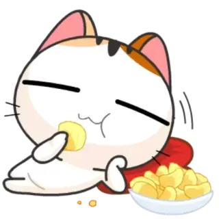 🙂 猫, 食べる, チップス, 可愛い, カワイイ telegram sticker