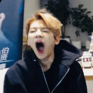 🌻 Baekhyun K팝, 가수, 백현, EXO, 하품 telegram sticker