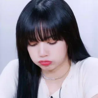🐁 mujer, retrato, coreana, cantante, asiática, pelo negro, Lisa, cara whatsapp sticker
