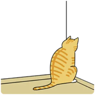 🐈 cat, animal, pet, orange tabby, sitting telegram sticker