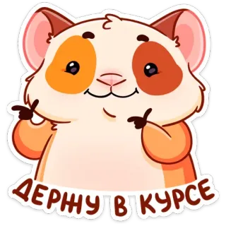 😉 ДЕРЖУ В КУРСЕ แฮมสเตอร์, สัตว์, น่ารัก, สติกเกอร์, หนู, ถือห่วง telegram sticker