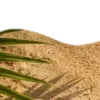 🥥