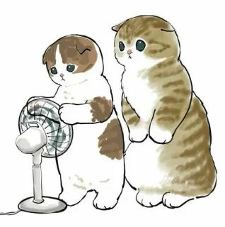 💗 kot, fan, kociak, słodki, zwierzęta, kawaii, kreskówka, zwierzę domowe telegram sticker