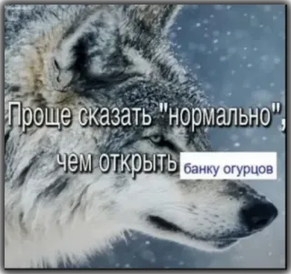 🥒 Проще сказать "нормально", чем открыть банку огурцов wolf, tier, russisch, text, meme telegram sticker