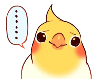 🐤 cockatiel, oiseau, mignon, emoji, animal, animal de compagnie, bulle de dialogue whatsapp sticker