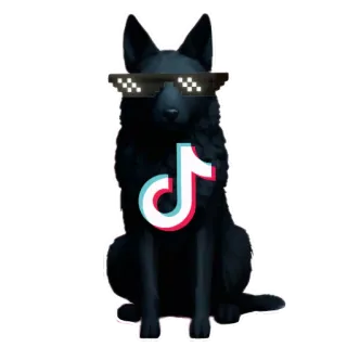 🧸 강아지, 선글라스, TikTok, 멋진, 동물, 밈 telegram sticker