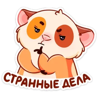 🤔 СТРАННЫЕ ДЕЛА แฮมสเตอร์, กำลังคิด, น่ารัก, การ์ตูน, สัตว์ telegram sticker