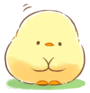 🤩 pollito, lindo, pájaro, animal, kawaii, amarillo, dibujo animado, pegatina whatsapp sticker